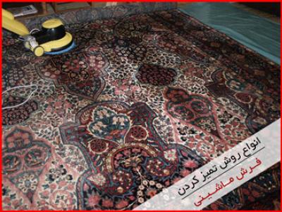 how-clean-carpet-simple-appliances.jpg